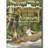 Afternoon on the Amazon